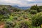 Colorado-Black Canyon of the Gunnison National Park