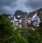 Colorado Blue Columbine white and lavender Rocky Mountain Columbine