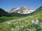 Colorado mountain with lupines