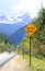 Colorado mountain road, falling rock sign