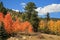 Colorado mountains with red and gold Aspens trees at peak of Fall Colors.