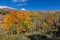 Colorado Mountainside in Fall