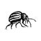 Colorado potato beetle Icon