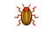 Colorado potato beetle icon animation