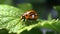 The Colorado potato beetle sits on a potato leaf close. Generative AI.