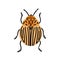 Colorado potato beetle. Vector Illustration for printing, backgrounds, covers, packaging, greeting cards, posters, stickers,