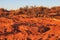 Colorado River Horseshoe Bend cliff edge, Page, Arizona