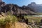 The Colorado River With Yucca Cactus Against Surrounding Canyon Walls,