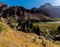 The Colorado River With Yucca Cactus Against Surrounding Canyon Walls