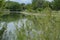 Colorado summer lake landscape