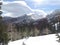 Colorado trees and alpine peaks