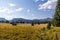 Colorado Weminuche Wilderness Meadow Scenery