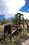 Colorado Wood Mining Structure