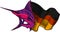 colored atlantic swordfish marlin vector illustration design