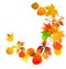 Colored autumn leaves isolated on a white background