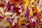 Colored background of gerbera petals closeup