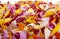 Colored background of gerbera petals closeup