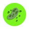 colored bacterium in green badge icon. Element of science and laboratory for mobile concept and web apps. Detailed bacterium icon