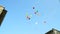 Colored balloons flying upwards in a blue sky