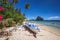 Colored banca boat and vibrant flowers at Las cabanas beach. Surreal landscape in background. Exotic nature scenery in El Nido,