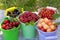 Colored baskets overflowing with summer mixed berries like raspberries, currant and cherry. Harvest of various berries in a garden