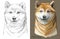 Colored and black and white Shiba Inu vector portrait