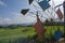 Colored board of water wheel with green field