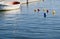 Colored buoys floating on the sea surface in the port