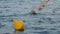 Colored buoys floating in a seaport.