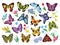 Colored butterflies. Hand drawn simple collection of butterflies and flowers isolated on white background. Vector