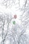 Colored cabins on the cable car against the background of the sky and snow-covered tree branches during a snowfall in winter