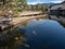 Colored carpes in Nara Japan. Goup of koi fishes in water pool in Nara Japan