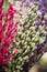 Colored catkins bouquet