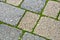 Colored concrete self locking flooring blocks with grassy joints assembled on a substrate of sand - type of flooring permeable to