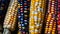 Colored corn cobs. Cereals and grain culture. Multicolored corn background. Variegated corn texture. corn cobs different