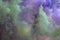 Colored creeping smoke. Blurred background