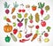 Colored Doodle fruits and vegetables on white background. Vector sketch illustration of healthy food