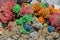 Colored dried marine algae from Red Sea, seaweed shaped into decorative balls on street market in Egypt