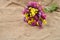Colored dry bouquet on rustic jute background. Beautiful arrange