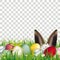 Colored Easter Eggs Grass Hare Ears Transparent