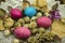 Colored easter eggs with quail eggs among dry  buds and dry leaves, cones with a knitted  white napkin  on dark polished boards
