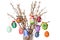 Colored easter eggs on willow bouquet with willows