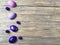 Colored eggs on white wooden textured background with fading