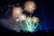 Colored firework background with free space for text. Colorful fireworks at night light up the sky with dazzling display