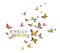 Colored flock of butterflies. Logo design template. Colorful silhouettes of flying butterflies.