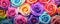 Colored flowers wallpaper top view.Rainbow roses wide banner