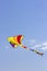 Colored flying kite