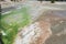 Colored geyser runoff in Yellowstone