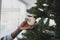 Colored girl holding holiday bauble hanging from Christmas tree