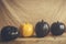 Colored halloween pumpkins on wooden desk. Difference. Alone among the others. Single orange pumpkin in a row of black pumpkins